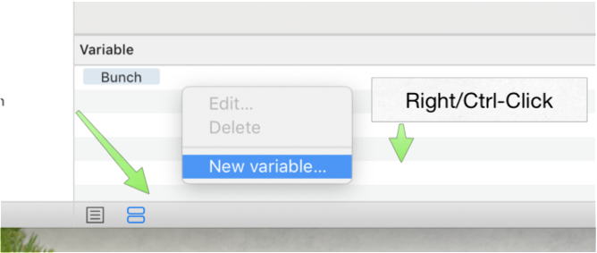 Adding the Bunch variable to the Automator Workflow